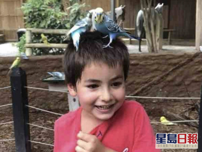 事件中死去的男童。網圖