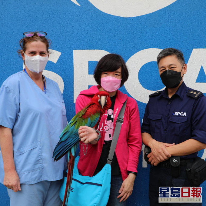 金鋼鸚鵡與主人重聚。愛協FB圖片