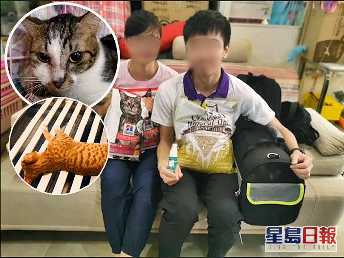 涉事的夫婦。網圖