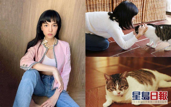 Anjay昨晚在IG撰寫千字文,悼念好友的愛貓Ian。