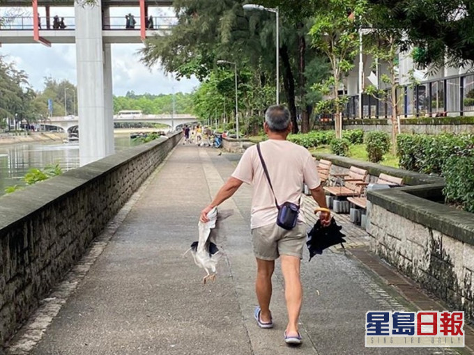 男子在林村河捉鹭鸟。FB图