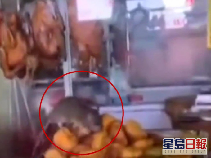 廣東佛山市場一個燒臘檔口驚見老鼠偷吃燒肉。