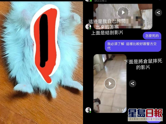 「華人Cosplay交流社」FB圖片