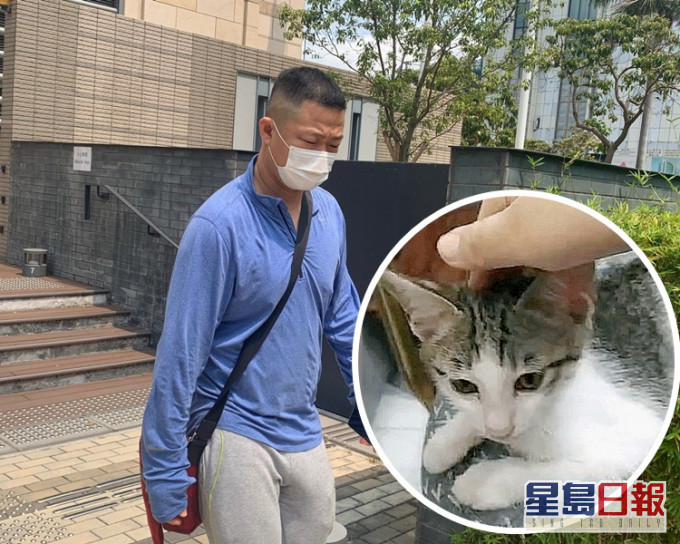 被告王乾認偷走幼貓「可樂」。