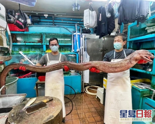 一条长11尺、重20斤的大油𩺬引起热议。「香港街市鱼类海鲜研究社」FB