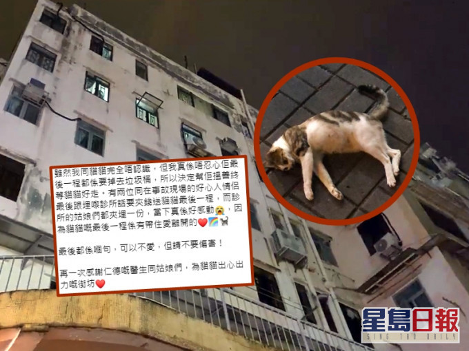 大埔一隻小貓疑遭高空摔下樓死亡,多名善心街坊夾錢助牠善終。Facebook「黃兆健 Siu-Kin Wong」直播影片截圖