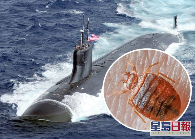 美軍核潛艇康涅狄格號被揭床蝨為患,困擾船員近一年。美國海軍圖片、網圖