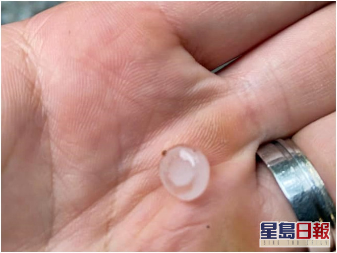將軍澳昨午落冰雹,網民拍下毫子般大的冰粒。網民Fung Yuen圖片