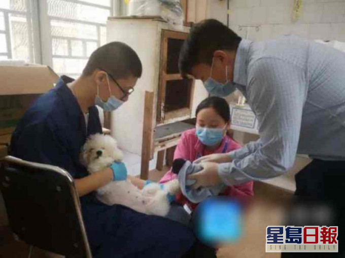 動物園成功徵得「狗奶媽」餵養黑豹姐妹。網圖