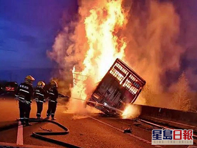 山东一辆运猪货车遇事燃烧起火,车上近百只猪活活烧死。网图