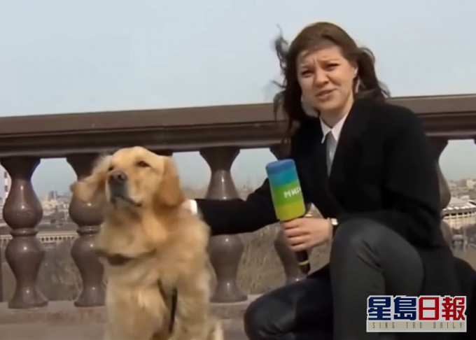 俄罗斯女记者进行直播期间，咪高峰一度被狗叼走。影片截图