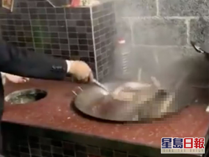 網傳內地大叔煮狗肉,過程令人慘不忍睹。(網圖)