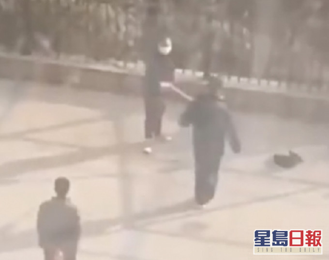 内地多个地方忧虑人畜感染,将街上宠物狗打死。望山图片