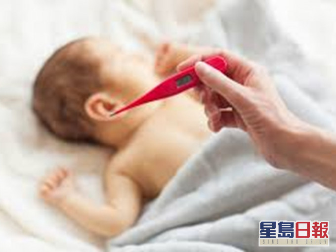 網圖。