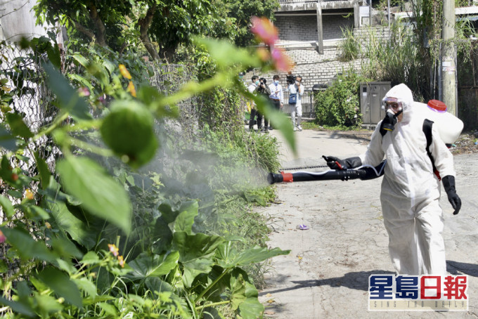 申訴專員主動調查食物環境衞生署執行防蚊和滅蚊工作成效。 資料圖片