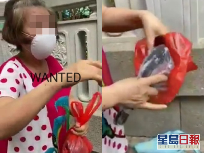 大妈将野鸽塞入胶袋。巴打丝打 Facebook Club 影片截图