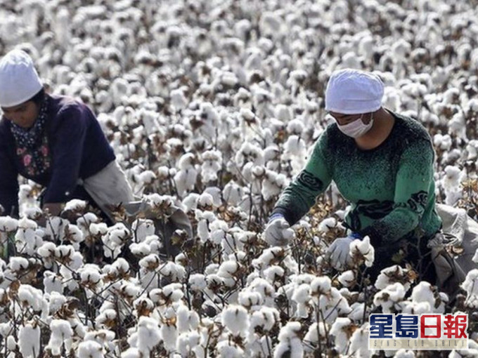 美國全面禁止進口新疆棉花和蕃茄產品。