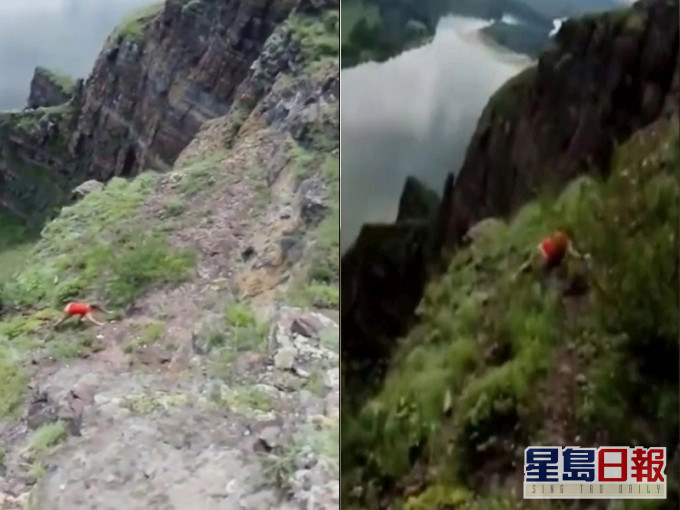 俄女爬陡峭岩壁拍照,友人眼前失足滑落懸崖。(網圖)