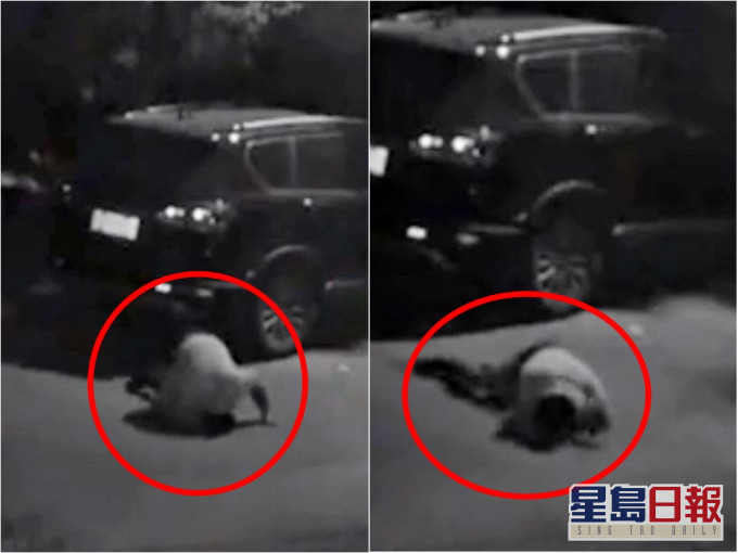 杭州一名醉酒女子於街上跪地爬行,詭異的姿勢讓人誤以為是「貞子」。網圖