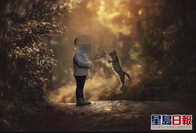 「乐乐」拍摄的唯美照。网图