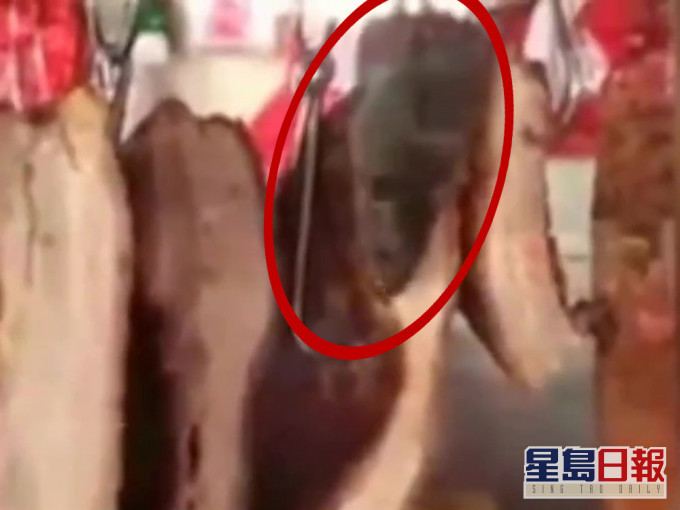 廣東佛山市場一個燒臘檔口驚見老鼠偷吃燒肉。