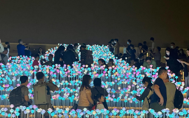 觀塘東九文化中心LED花海正式開放  成全新打卡景點  區議員料逾百萬人次到訪