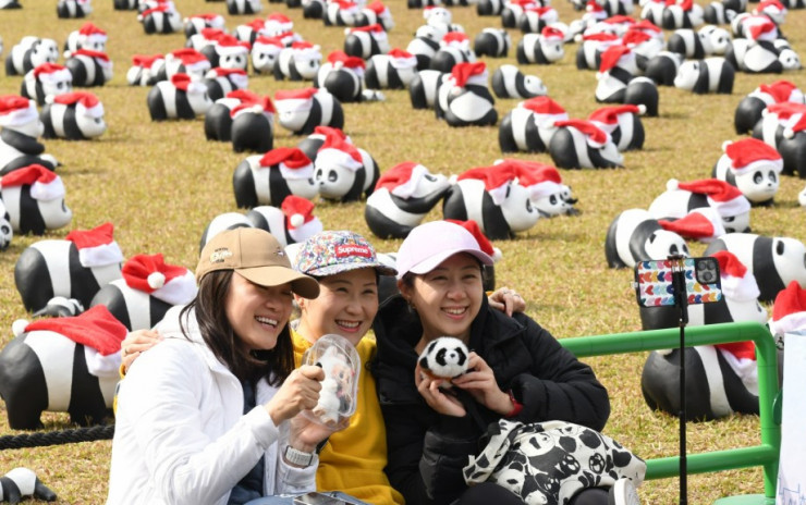 逾千隻聖誕造型大熊貓雕塑現身中山公園勁吸睛  台旅客特意來港：很有節日氣氛很可愛