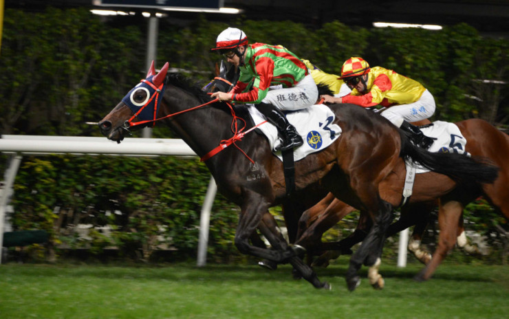 香港 賽馬-彩 池-方程式-獎金-馬場 網站 投資 者