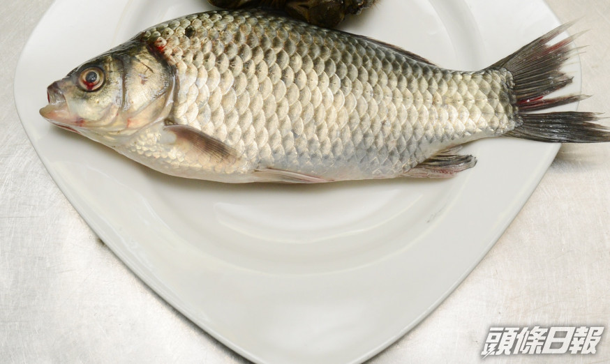 鯽魚。資料圖片
