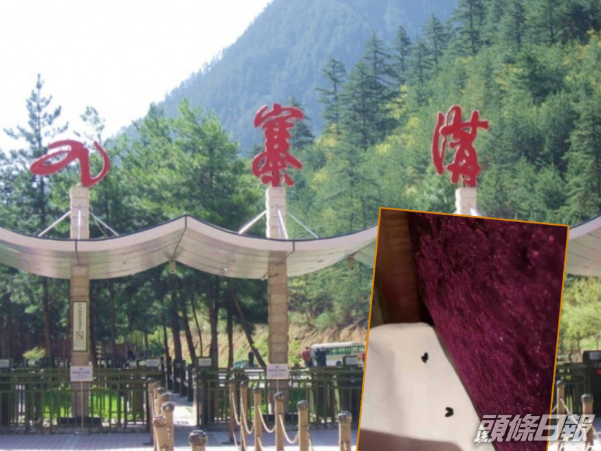 梁女士一行5人參加九寨溝四天團,結果連九寨溝的入口也沒看到。(網上圖片)