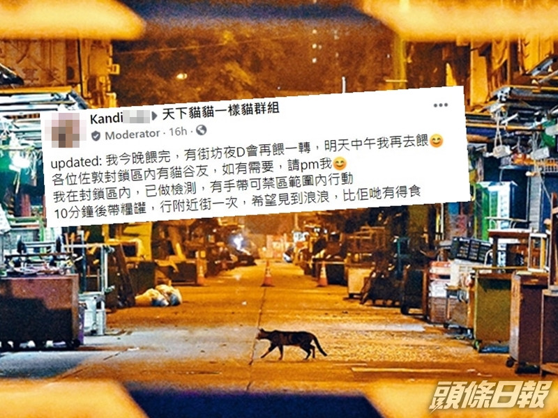 Facebook群組「天下貓貓一樣貓」其中一名版主Kandi,昨日主動遊走「受限區域」為貓貓們送上晚餐。資料圖片(小圖為Facebook截圖)