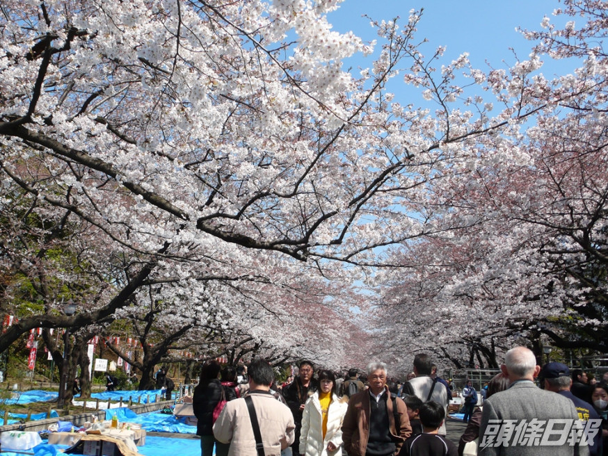 預訂機票的旅遊日期,適用於今年11月1日至明年3月26日期間,往來香港與日本的航班。資料圖片