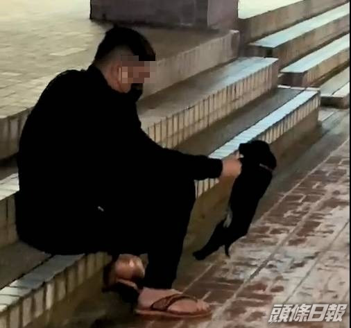 男子粗暴地抓著狗仔的前肢揈來揈去。網圖