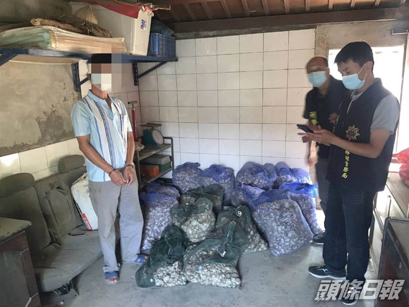 警方在盧男住處人贓並獲起回14袋蒜頭。中時