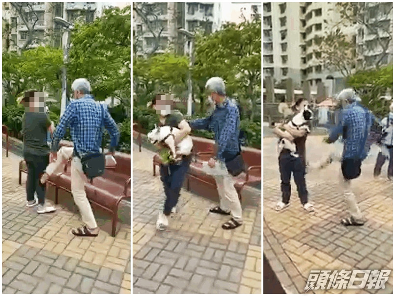 一名外傭疑因無用狗帶牽好狗隻及任由牠到處奔跑追逐,導致一名老伯的孫子跌倒,老伯深感不滿,遂瘋狂爆粗怒罵,更「起飛腳」踢該名外傭。影片截圖