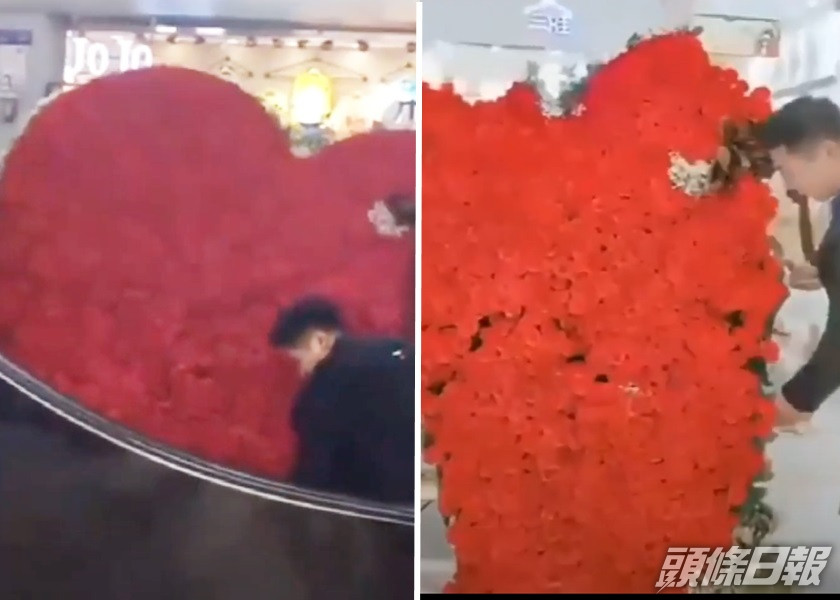 內地男子為與前妻復合而準備巨型玫瑰花牌,不料在扶手電梯上被撞爛。影片截圖