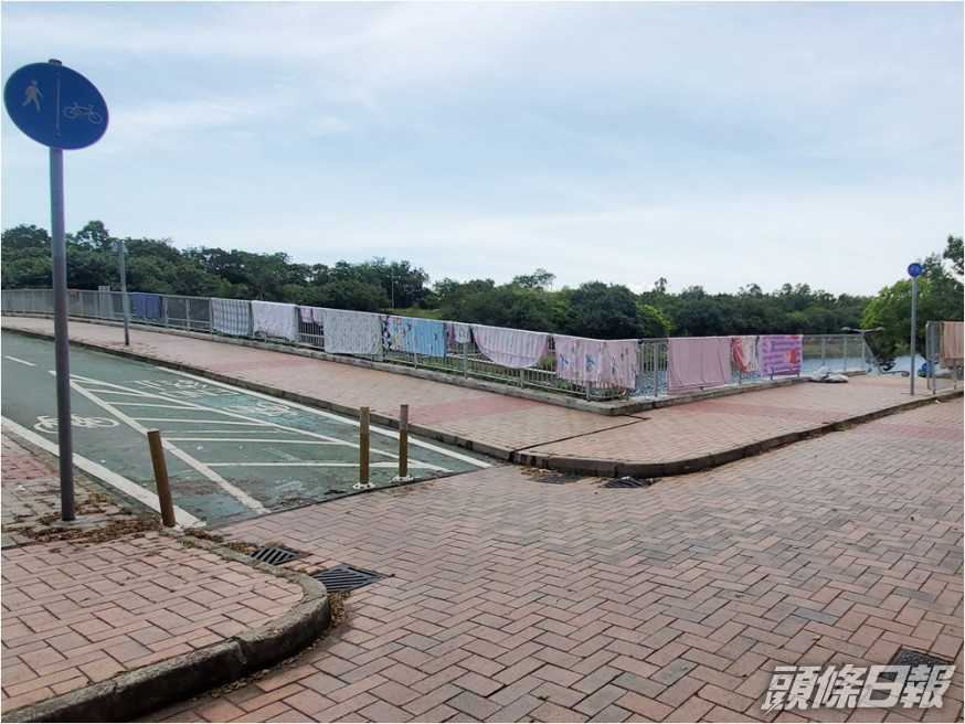 警方於天水圍拘捕一名14歲非華裔男童,涉嫌區內多宗非禮案。資料圖片
