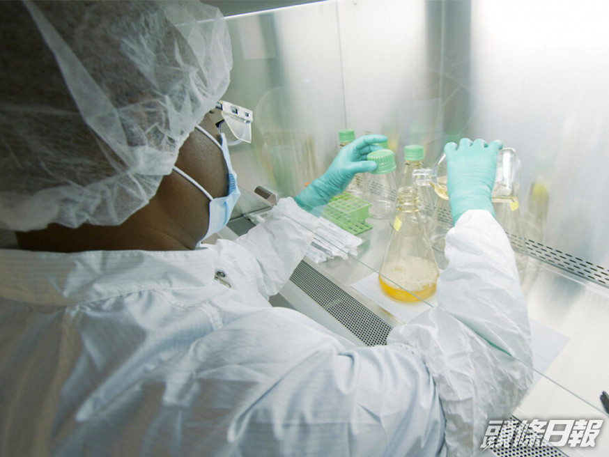 英國研究發現新冠病毒無症狀感染者體內抗體量,消失速度比有症狀者快。AP資料圖片