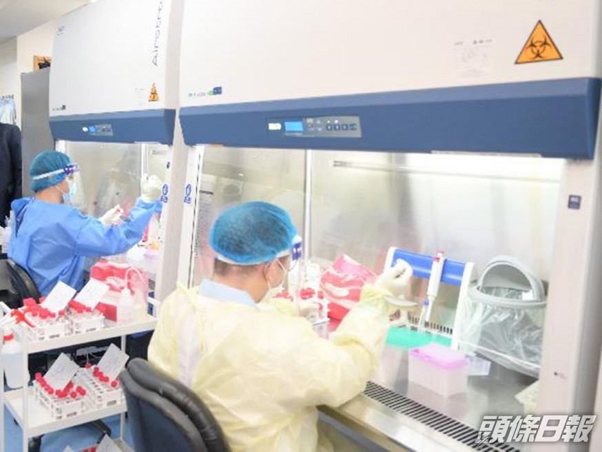 安球醫學化驗所指,過去接近一個月只檢測出這宗初步陽性個案。網圖