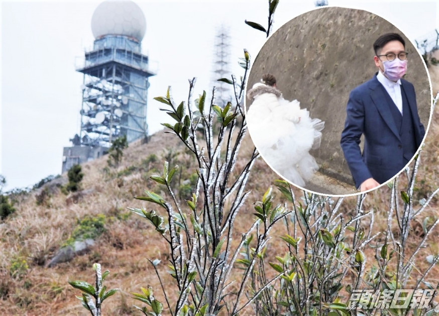 大帽山有草葉結霜,有新人登山影婚照。 蔡楚輝攝