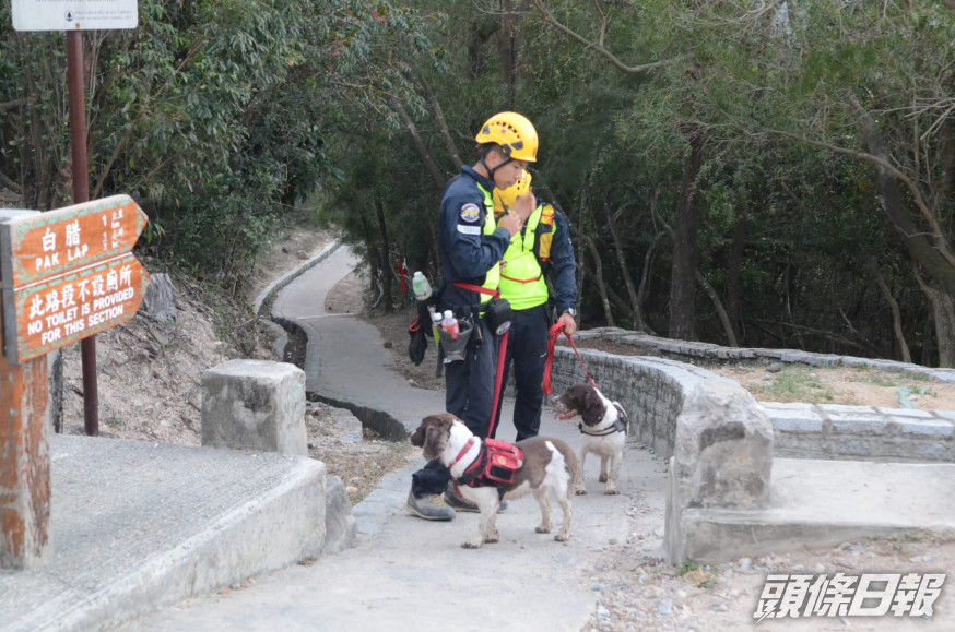 搜救犬協助救援。