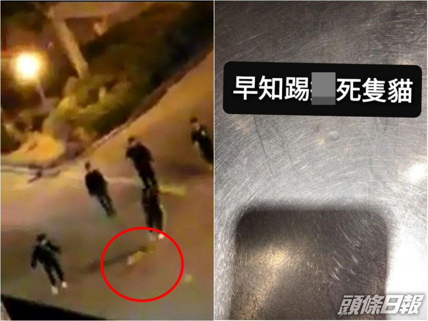 疑有童黨於景林邨虐貓,更聲言「早知踢死隻貓」。FB專頁「將軍澳討論區」圖片