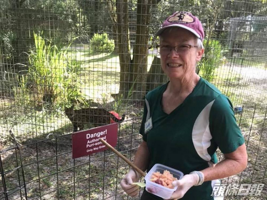 女義工遭老虎咬傷。Big Cat Rescue FB
