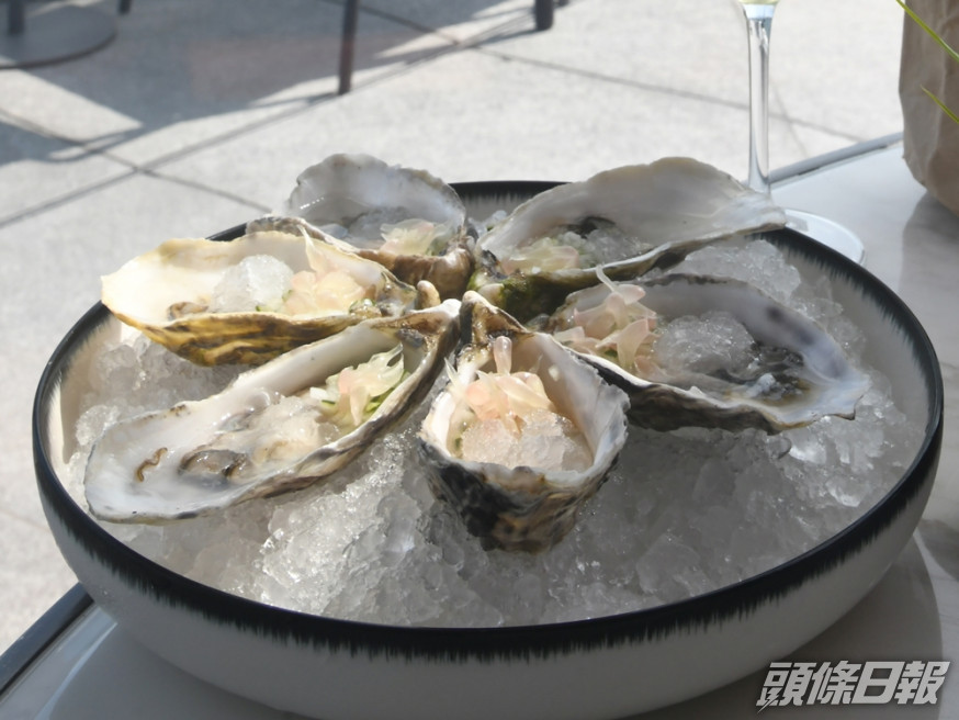 蠔可能積聚了各種病毒、細菌和重金屬。資料圖片