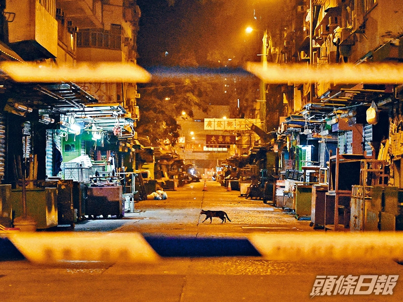 油麻地實施禁足令,剩下流浪貓可隨意遊走。