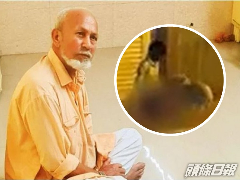 警方拘捕該名老翁,對方竟辯稱「牠們沒有反對」,故不構成犯罪。網圖