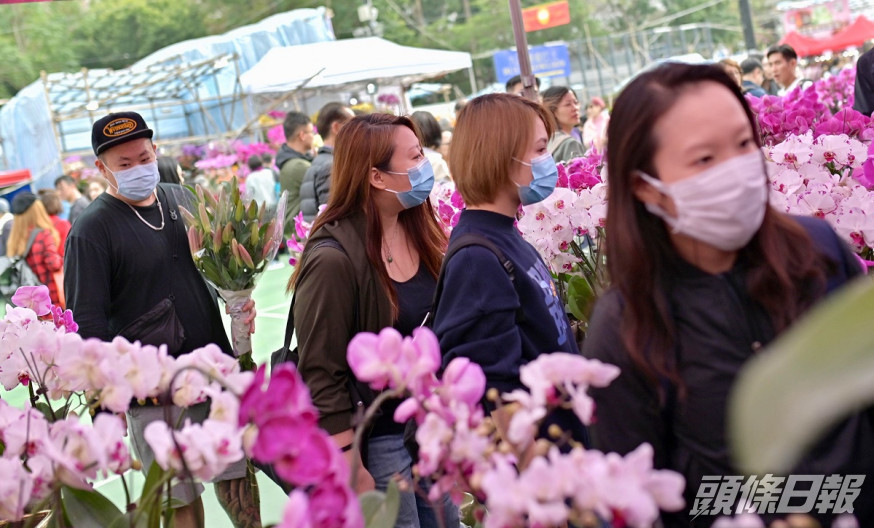 政府決定重開年宵市場,攤檔數目會減半。資料圖片
