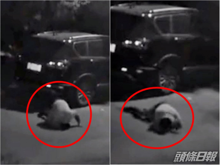 杭州一名醉酒女子於街上跪地爬行,詭異的姿勢讓人誤以為是「貞子」。網圖