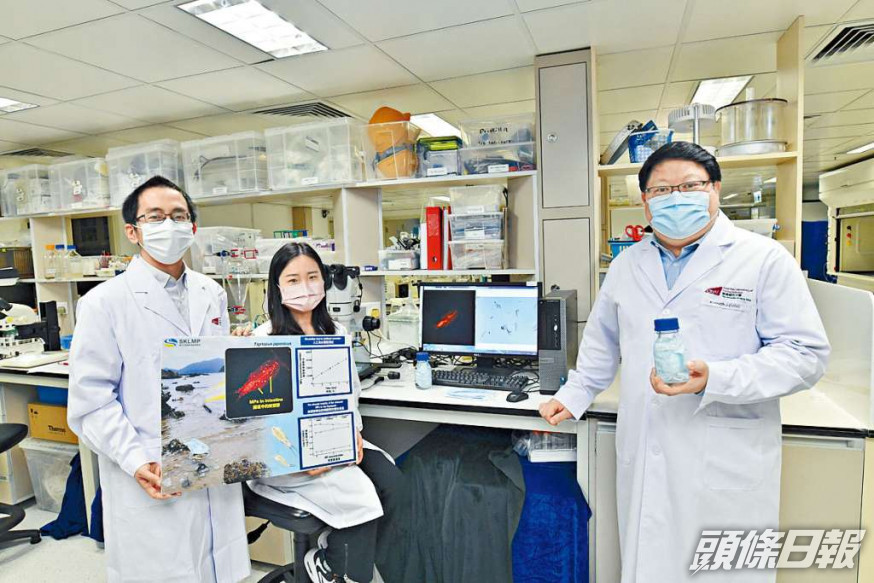 ■城大團隊在實驗室內模擬被棄置口罩落入海水,顯微鏡顯示有多條長度不同的塑膠纖維及大小不同的顆粒。