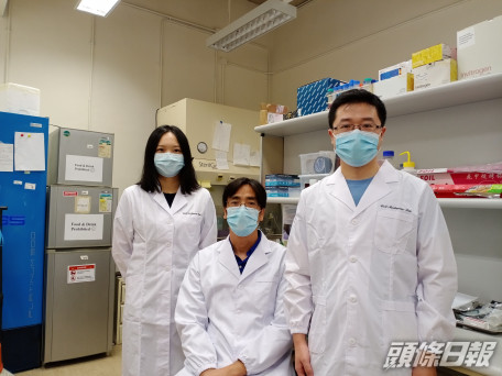 港大機械工程系的研究團隊,利用胚胎伸長動力學揭示了導致胚胎異常伸長的原因。